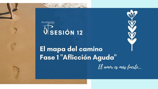 Sesión 12. Trabajo del Duelo