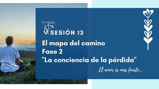 Sesión 13. Trabajo del Duelo